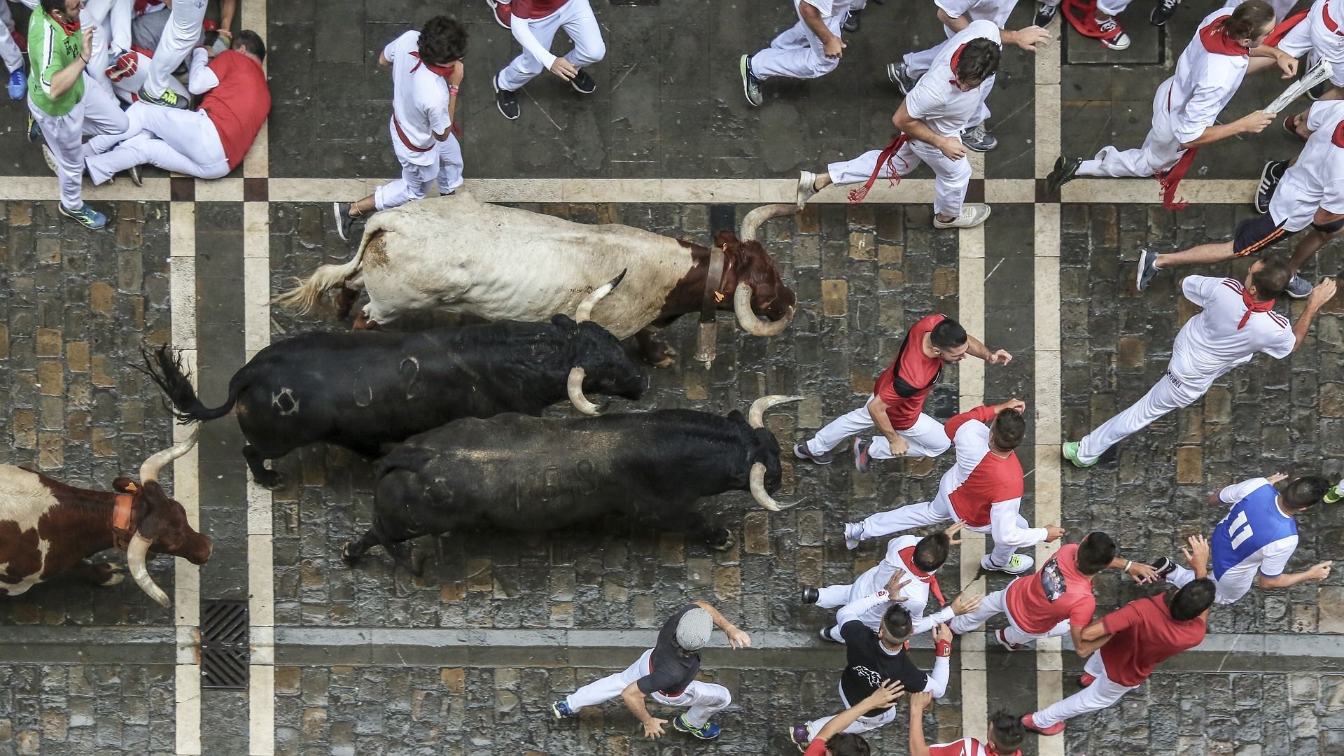 Animaciones fiestas infantiles en Pamplona